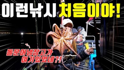 포항 돌문어낚시 배낚시 선상낚시 돌문어 루어낚시 조황정보