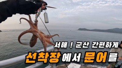 군산 워킹 문어낚시 선착장 낚시포인트