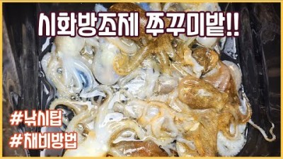 시화방조제 쭈꾸미낚시 갑오징어낚시 채비 및 낚시팁