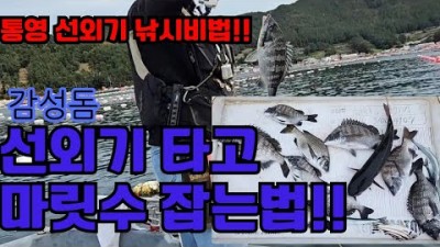 통영 선외기 감성돔낚시 마릿수 조황정보 밑밥 주는 방법