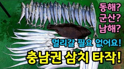 충남 보령 녹도 방어낚시 삼치낚시 갯바위 루어낚시 포인트 채비 및 조황정보