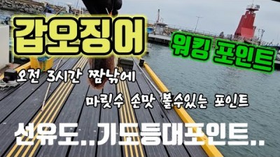 군산 선유도 기도등대 워킹 갑오징어낚시 초보도 마릿수 손맛 볼수있는 포인트 추천