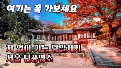 서울 단풍명소 길상사 당일치기 단풍여행 나들이 가볼만한곳 추천