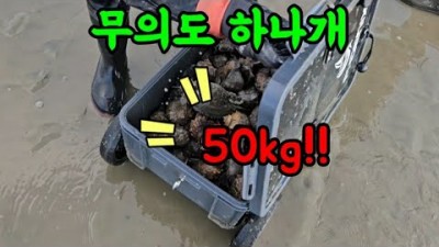 수도권 해루질 명소 인천 무의도 하나개해수욕장 왕소라 해루질 줍줍 포인트 가볼만한곳 추천