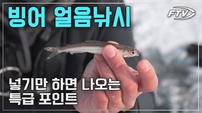 춘천 빙어 얼음낚시 특급포인트, 마릿수 할 수 있는 방법과 빙어 요리 방법