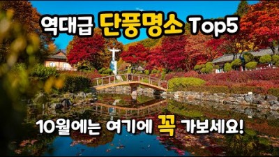 10월에 가볼만한 단풍명소, 내장산 단풍터널, 배론성지, 문광저수지, 성균관대학교 명륜당, 독립기념관단풍나무숲길, 우리나라 최고의 단풍명소 여행 갈만한곳