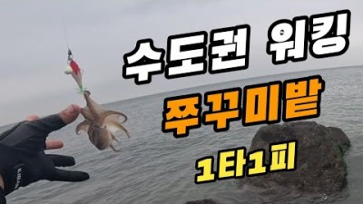 을왕리해수욕장 워킹 쭈꾸미낚시 서울근교 쭈꾸미 루어낚시 포인트