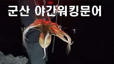 군산 장자도 갯바위 워킹 문어낚시 조황정보