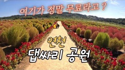 서울근교 연천 댑싸리공원 여행 가볼만한곳 추천 주차비 입장료 무료 수도권 가족나들이 갈만한곳