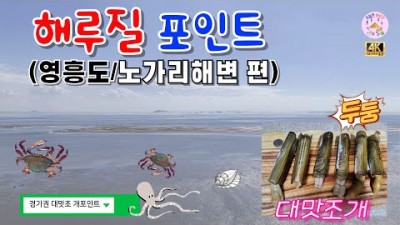 영흥도 노가리해변 맛조개 해루질 포인트