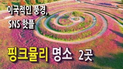 핑크뮬리 명소 칠곡 가산수피아, 합천 신소양체육공원 이국적인 풍경 핫플 가볼만한곳