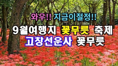 전북 고창 선운사 꽃무릇축제 전국 꽃무릇 3대 명소 입장료 주차장 무료 고창여행 축제 가볼만한곳 추천