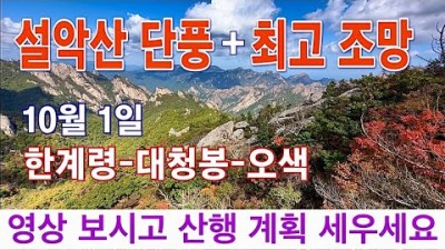 설악산 단풍여행 한계령 대청봉 오색 산행 트레킹코스 당일치기 대중교통 단풍놀이 가볼만한곳 추천