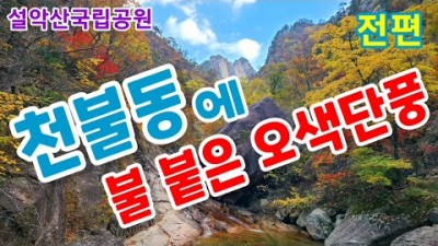 설악산 국립공원 천불동 오색단풍 단풍절정 단풍산행 등산코스 가볼만한곳 추천