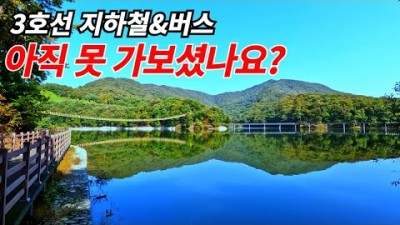 수도권 대중교통 여행 가볼만한곳, 마장호수 출렁다리 둘레길 트레킹, 원당목장 푸른 초원의 힐링명소