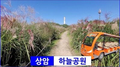 서울 상암동 하늘공원 서울정원박람회 서울억새축제 서울여행 나들이 데이트코스 가볼만한곳 추천