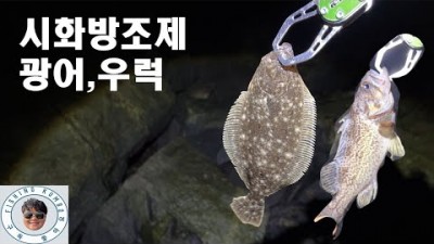 서울근교 시화방조제 광어 우럭 루어낚시 수도권 최고의 바다낚시 생활낚시 원투낚시 포인트 추천