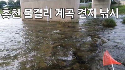 홍천 물걸리 다리 밑 피서 피라미 견지낚시 가볼만한곳