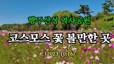 서울근교 코스모스 명소 고양시 행주산성 한강변 역사공원 나들이 여행 가볼만한곳 추천