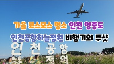 인천 영종도 인천공항하늘정원 가을 코스모스 명소 서울근교 비행기사진 포토존 명소 가볼만한곳 추천